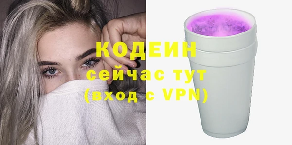 ешки Гусь-Хрустальный
