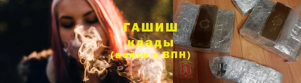 ешки Гусь-Хрустальный