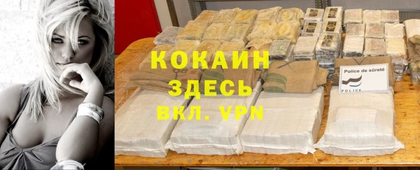 ПСИЛОЦИБИНОВЫЕ ГРИБЫ Гусиноозёрск