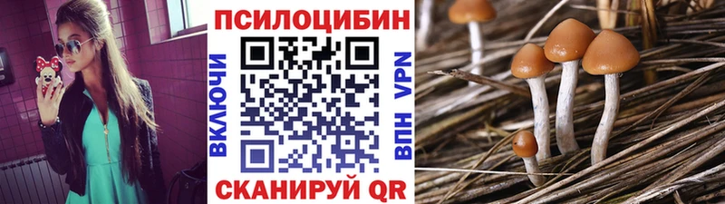 Галлюциногенные грибы мухоморы  shop клад  Жуковка  кракен  